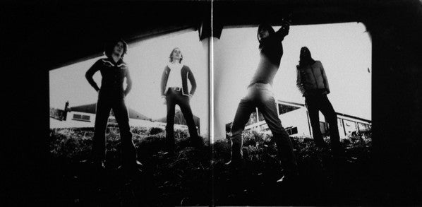 The Datsuns : The Datsuns (LP, Album)