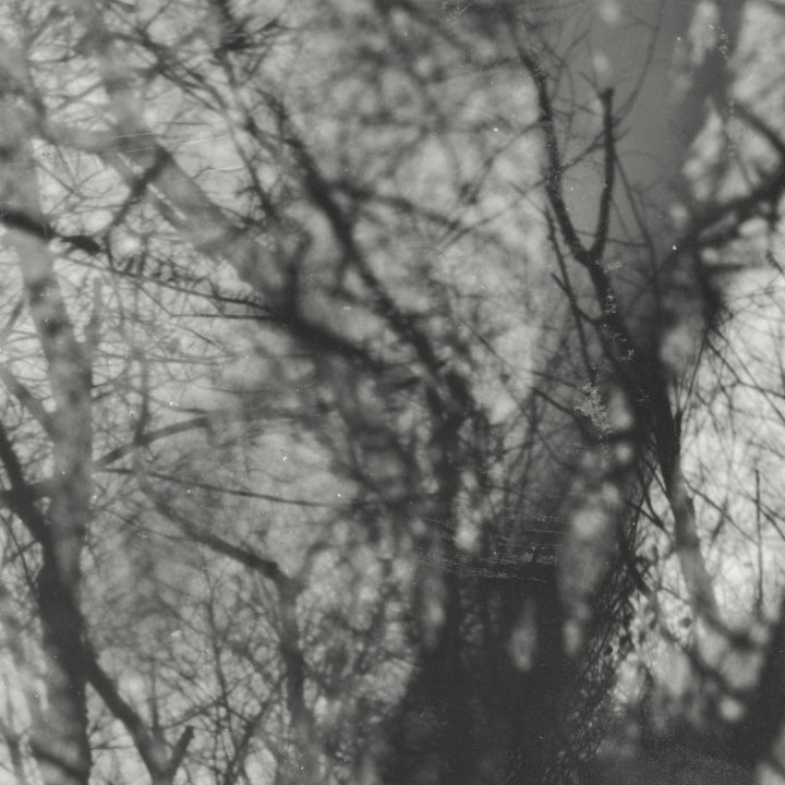 Grouper - Way Their Crept LP [Kranky]