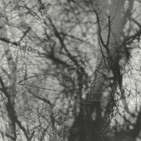 Grouper - Way Their Crept LP [Kranky]