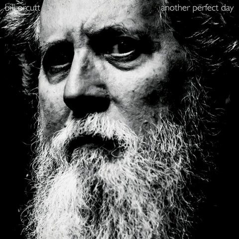 Bill Orcutt - Another Perfect Day LP [Palilalia]
