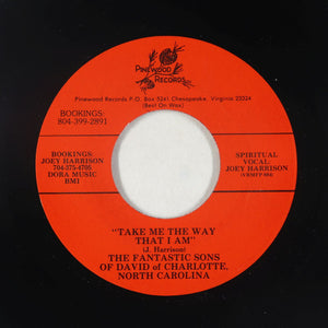 The Fantastic Sons Of David Of Charlotte, North Carolina : Take Me The Way That I Am / Save Me Jesus (7", Single)