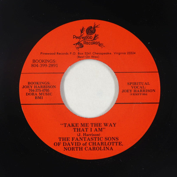 The Fantastic Sons Of David Of Charlotte, North Carolina : Take Me The Way That I Am / Save Me Jesus (7", Single)
