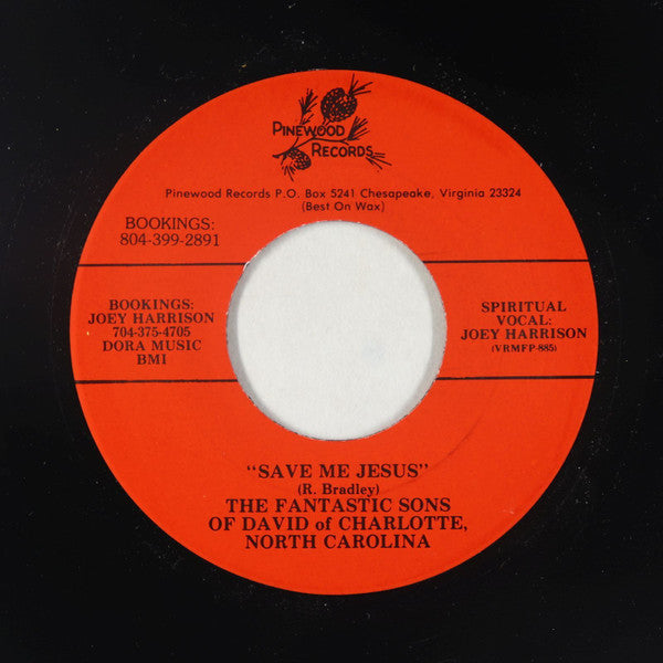 The Fantastic Sons Of David Of Charlotte, North Carolina : Take Me The Way That I Am / Save Me Jesus (7", Single)