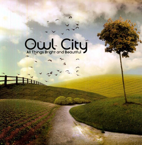 Owl City - All Things Bright and Beautiful LP