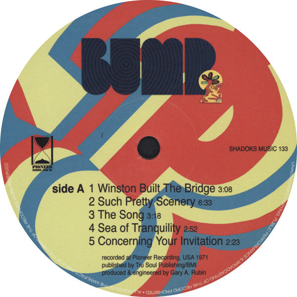 Bump (4) : 2 (LP, Album, Ltd)