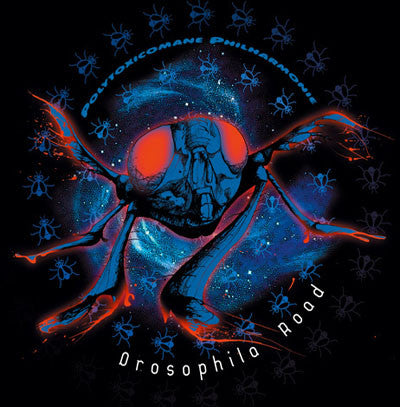 Polytoxicomane Philharmonie : Drosophila Road (LP, Album, Ltd, Mag)