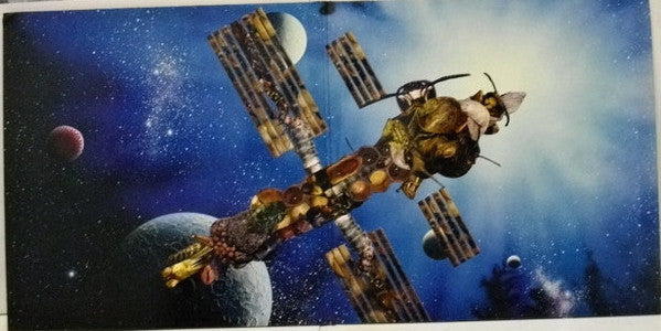 Polytoxicomane Philharmonie : Drosophila Road (LP, Album, Ltd, Mag)