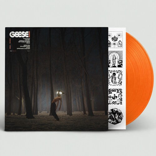 Geese - Projector