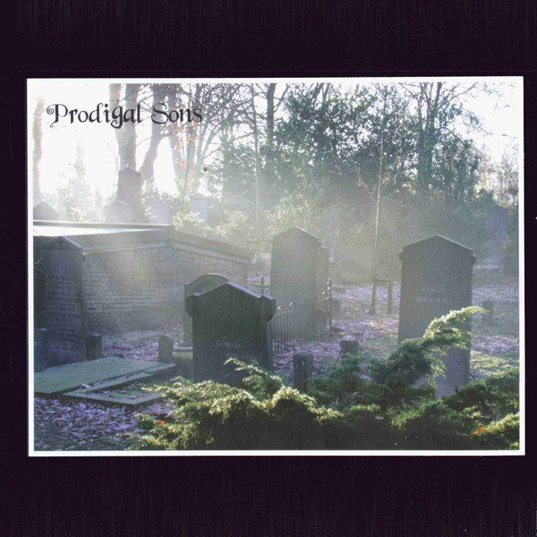 The Prodigal Sons (4) : Emerge From The Void (LP, Album, RE)