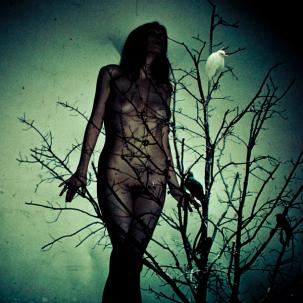 Atlas Moth - An Ache For The Distance LP