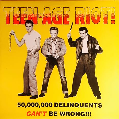 V/A Teen-Age Riot! LP