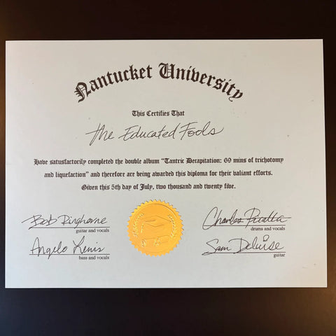 Retail Simps / Educated Fools - Tantric Decapitation: 69 mins of trichotomy and liquefaction 2XLP [Total Punk]