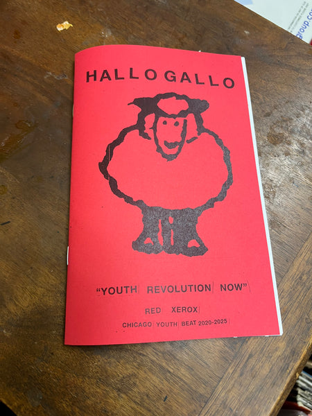 V/A Red Xerox Chicago Youth Beat 2020-2025 LP [Desert Island]