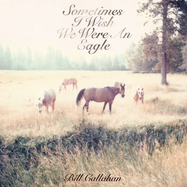 Bill Callahan - Somtimes I Wish We Were An Eagle  LP   [Drag City]