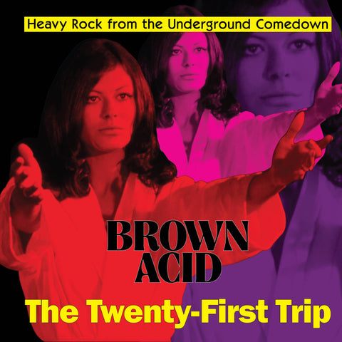 V/A - Brown Acid: The Twenty First Trip LP [Riding Easy]