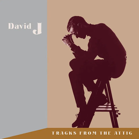 David J - Tracks From The Attic [RSD Black Friday '23]