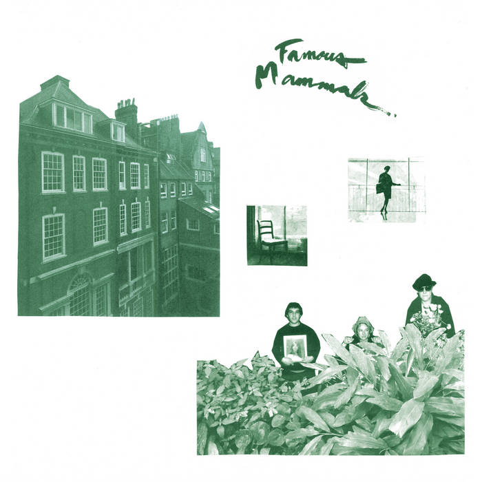 Famous Mammals - s/t LP [Inscrutable]