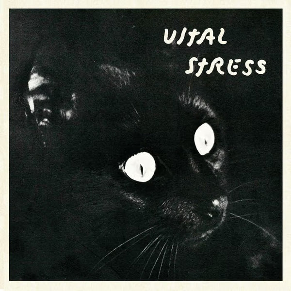 Vital Stress - s/t 7" ep [self-released]