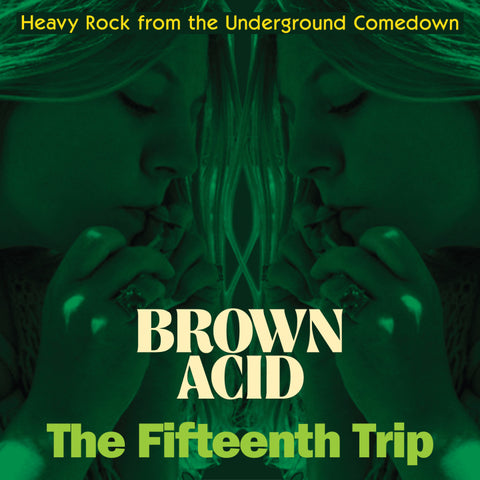 V/A - Brown Acid: The Fifteenth Trip (Heavy Rock From The American Comedown Era)