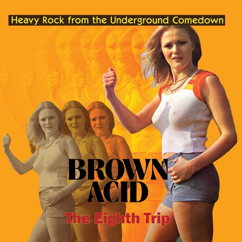 V/A - Brown Acid: The Eighth Trip
