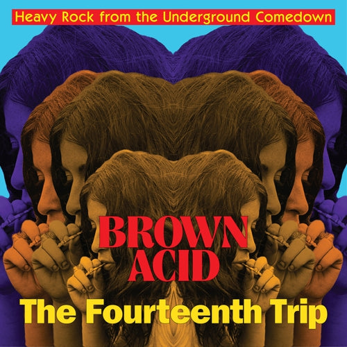 V/A Brown Acid: The Fourteenth Trip LP [Riding Easy]