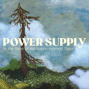 Power Supply - In the Time of the Sabre Tooth Tiger