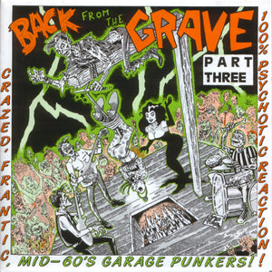 V/A - Back From The Grave: Volume 3