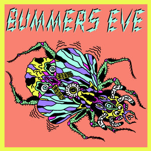 Bummers Eve - Fly On The Wall