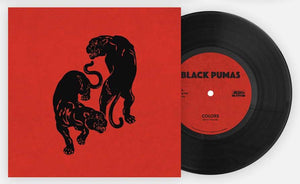 Black Pumas - Colors b/w Eleanor Rigby