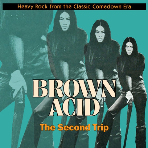 V/A - Brown Acid : The Second Trip