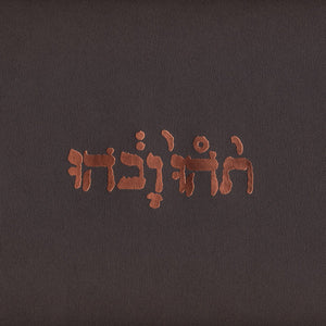 Godspeed You Black Emperor - Slow Riot For New Zero Kanada EP