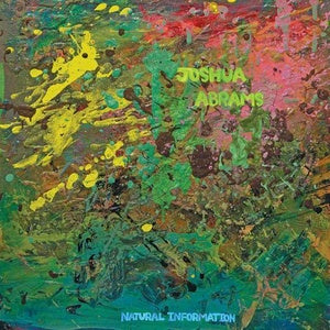 Joshua Abrams - Natural Information