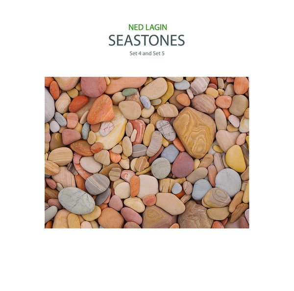 『SEASTONES』 Ned Lagin Grateful Dead Ned Lagin - Seastones: Set 4 and Set 5 – Goner Records