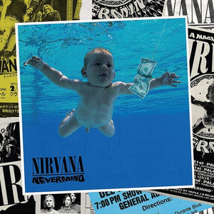 Nirvana - Nevermind 30th Anniversary Deluxe Edition 8 LP + 7" + Book Box Set